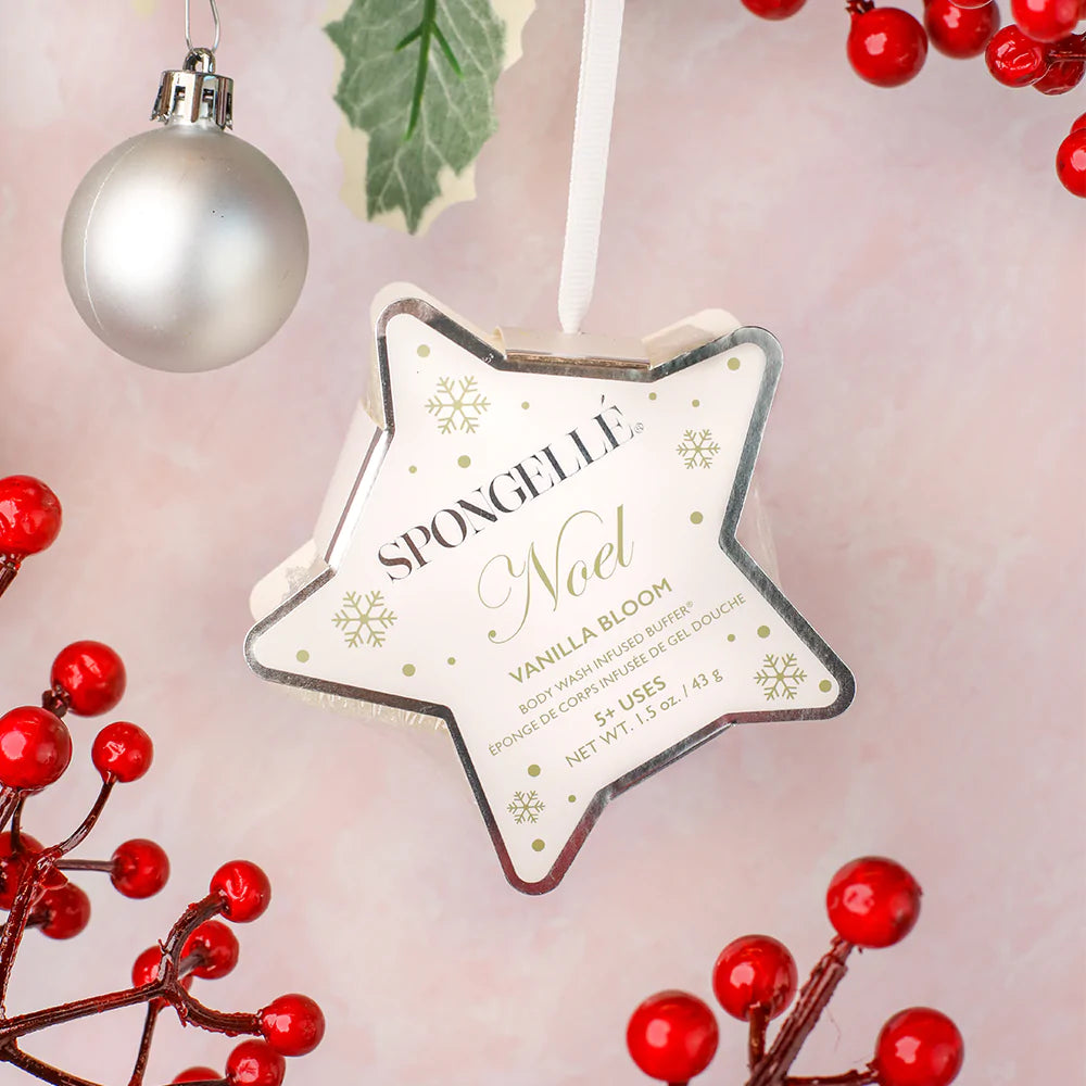 Holiday Star Buffer Ornament - BluePeppermint Boutique
